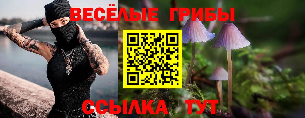 Галлюциногенные грибы ЛСД  Вход с VPN  Рассказово 